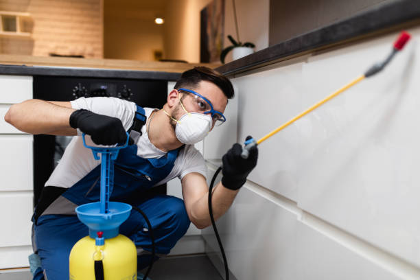 Best Bed Bug Extermination  in Perry, FL