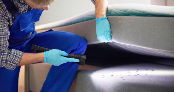 Best Commercial Pest Control Services  in Perry, FL