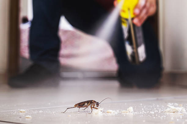 Best Flea Control Services  in Perry, FL