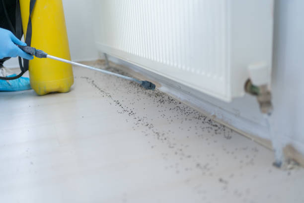 Best Cockroach Control Services  in Perry, FL
