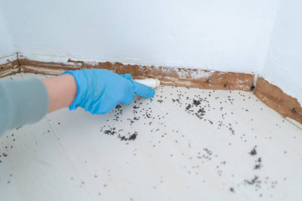 Pest Prevention Services in Perry, FL