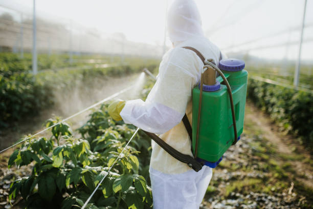 Reliable Perry, FL Pest Control Solutions